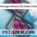 Kamagra-Marque-De-Gelée-Orale 15